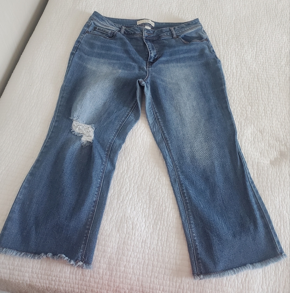 Womens Cropped  Classic Blue Distressed Women Jeans